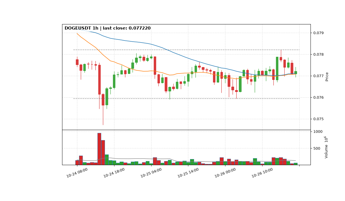 DOGEUSDT 1h